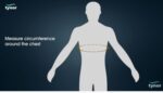Rib Belt - Medium - Image 3