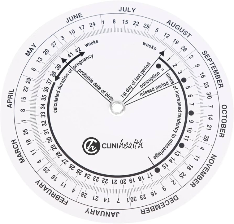 Pregnancy-Wheel-1.jpg PVC Pregnancy Wheel - Single - Image 1